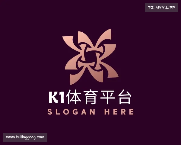 介绍K1体育平台